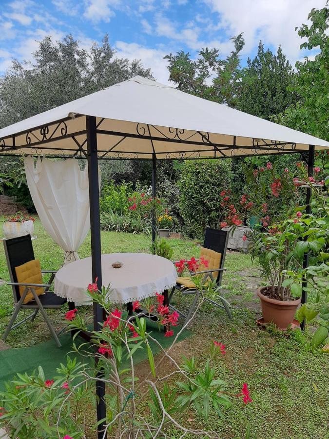 Studio With Garden Near The Sea コペル エクステリア 写真