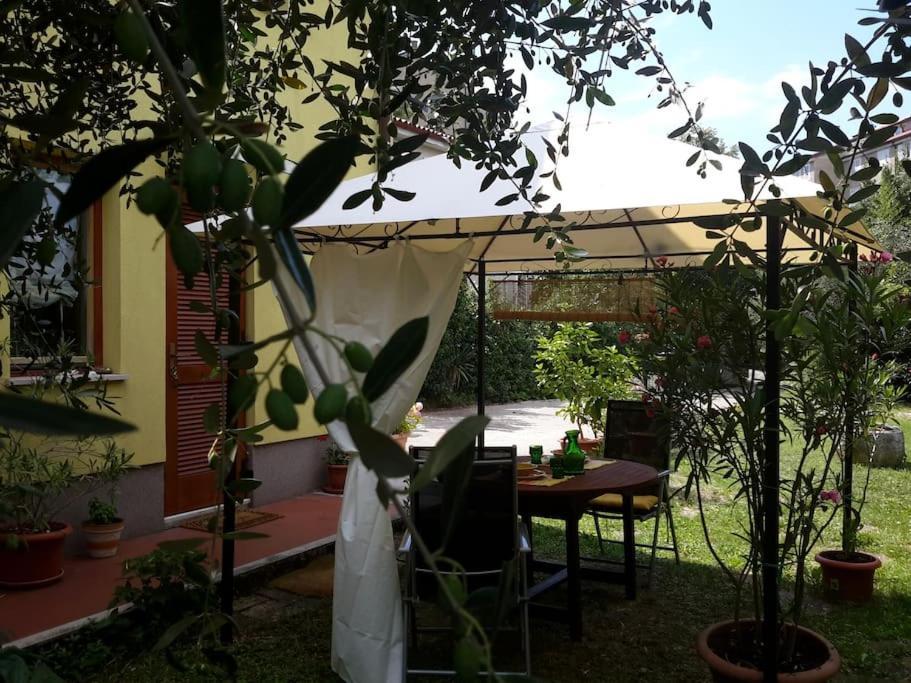 Studio With Garden Near The Sea コペル エクステリア 写真